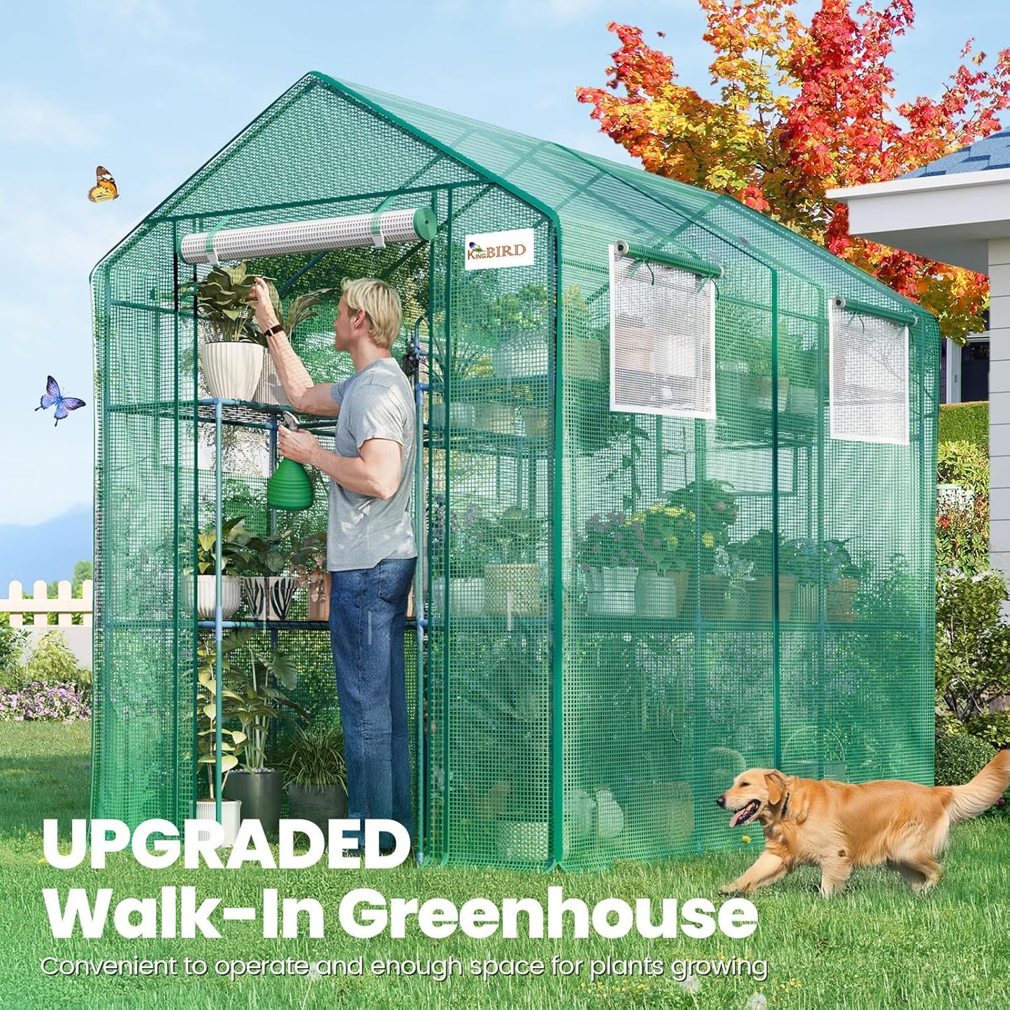 KING BIRD Premium Greenhouse for Outdoors, 84 x 56 x 77 Upgraded PE Cover & Steel Frame Walk in Hot House, w/ Zippered Screen Windows Mesh Door, 3 Tiers 20 Shelves for Outside Garden, Green