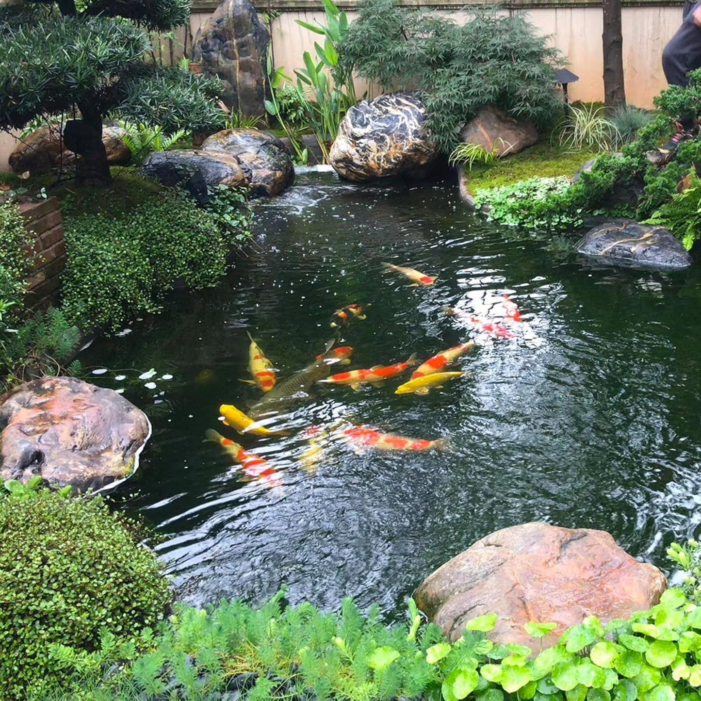 20 x 25 FT Pond Liner, 20 Mil Fish Pond HDPE Liner, Pond Liners for Outdoor Ponds, Koi Ponds, Garden Fountain, Waterfall