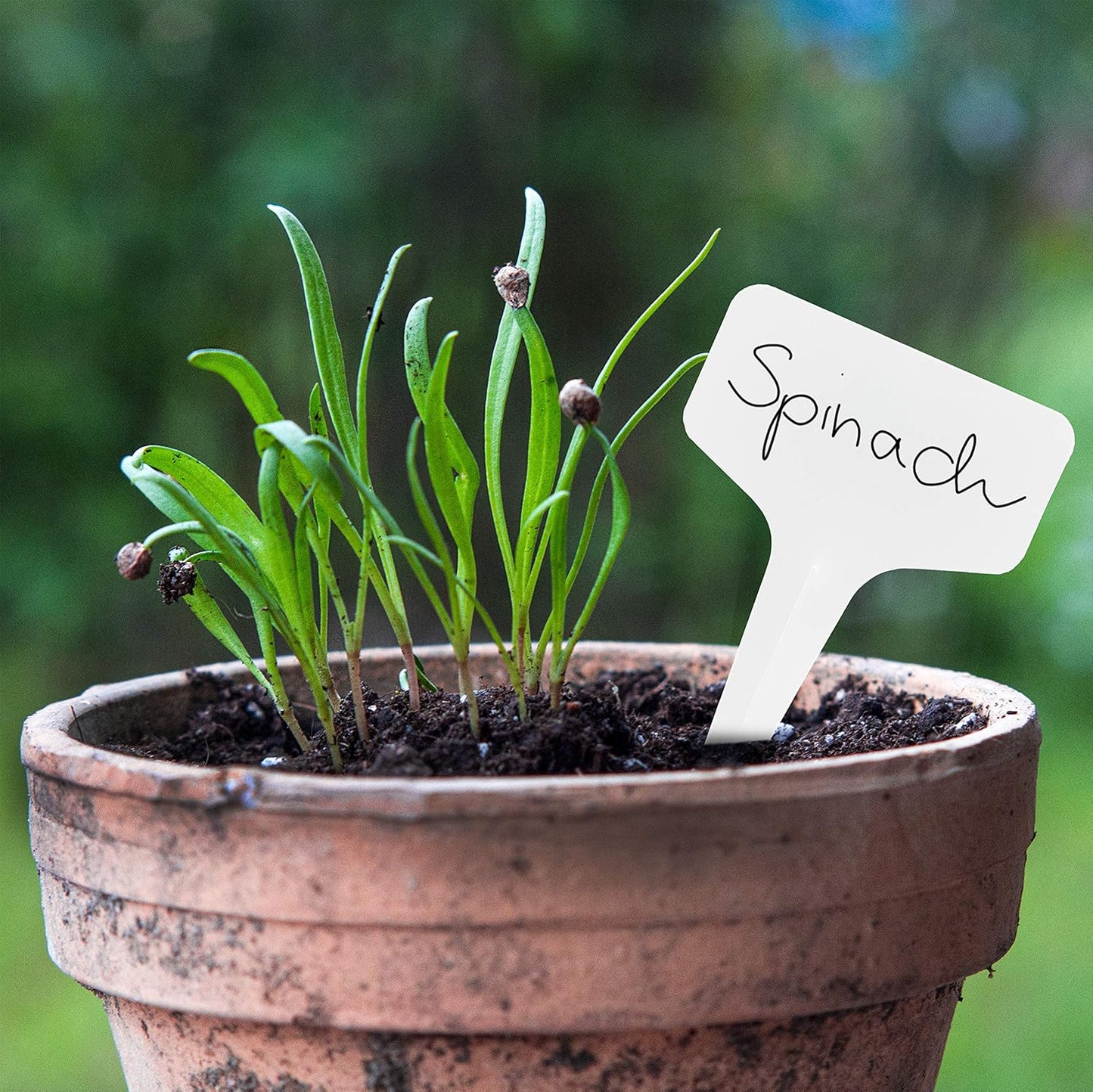 Plant Markers: 120 Plastic Plant Name Tags and Weatherproof Marker Pen – Plant Labels Wooden – Seedling Labels – Gardening Name Tags