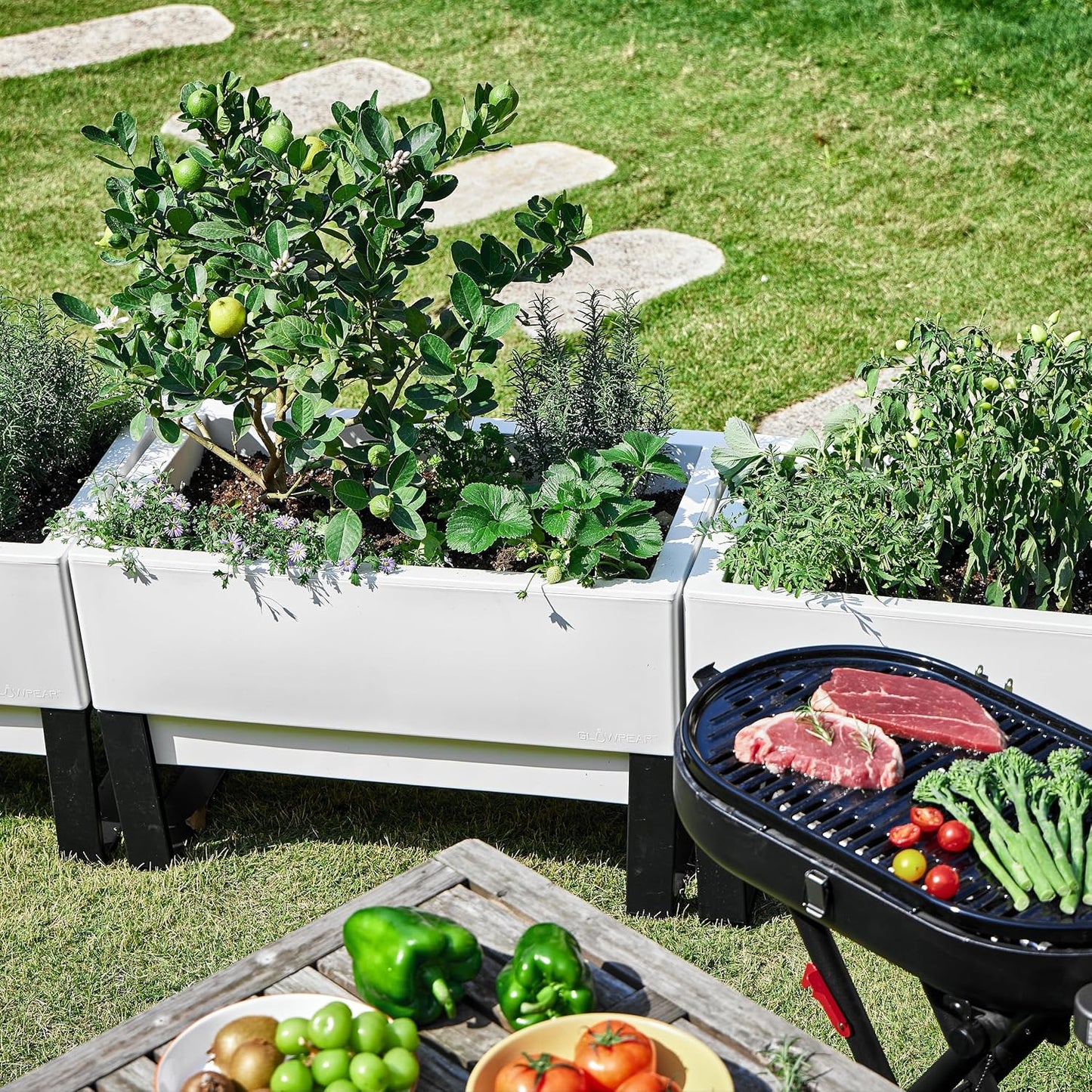 Glowpear Self Watering Planter Box - 29.5", White - UV Stable, Scalable Urban Raised Garden Bed with Water Gauge, Indoor Outdoor for Vegetables, Flowers, Herbs, and Succulents, Gardening